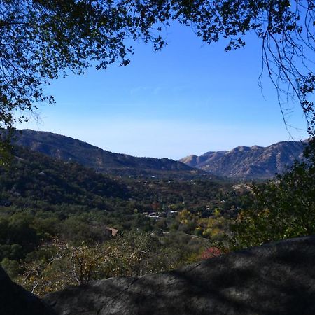הוילה ת'רי ריברס Shady Knoll מראה חיצוני תמונה