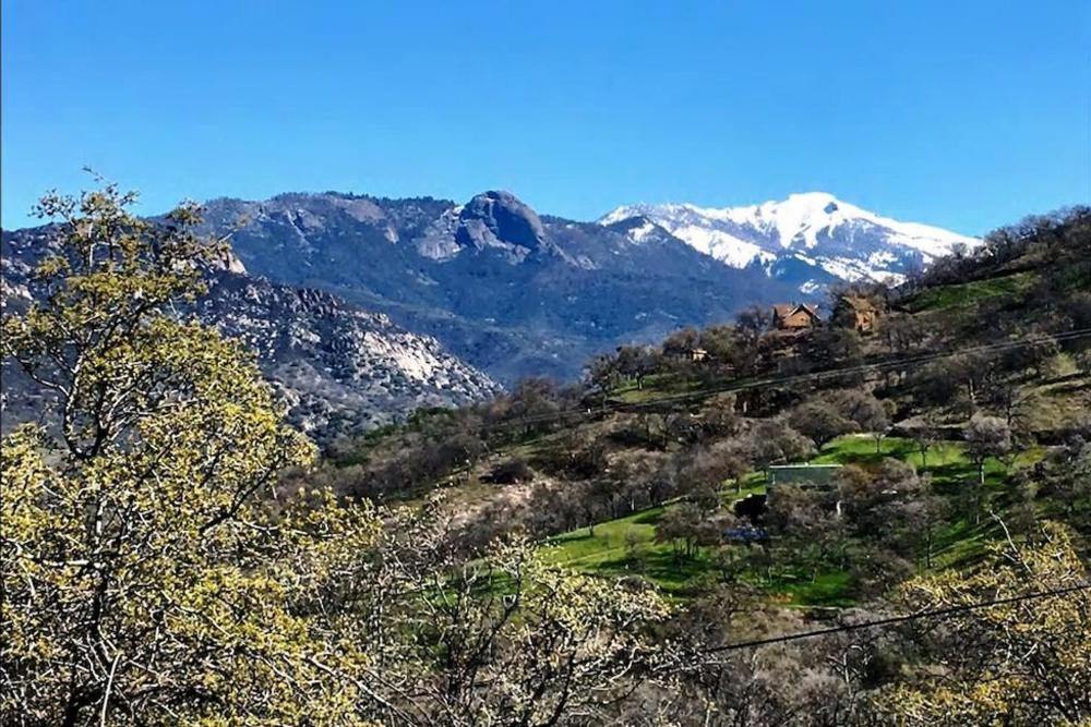 הוילה ת'רי ריברס Shady Knoll מראה חיצוני תמונה